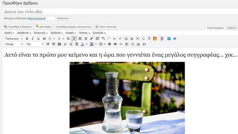 WORDPRESS TEXT EDITOR FIRST ARTICLE